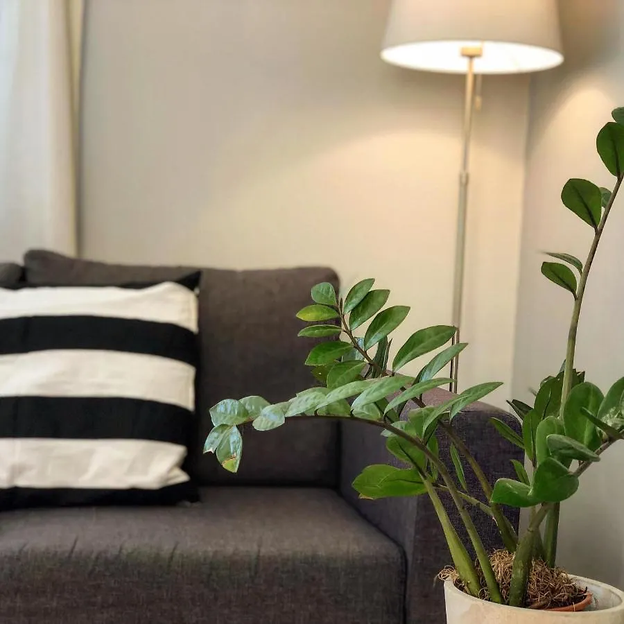 Helianthus Apartments Argostoli